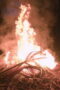 Nonton Outlast: The Jungle Season 1 Season 1 Episode 6 Sub Indo Nonton Outlast: The Jungle Season 1 Season 1 Episode 6 Sub Indo
