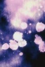 Nonton Bleach Season 1 Season 1 Episode 350 Sub Indo