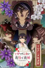 Nonton Ibitte Konai Gibo to Gishi Sub Indo
