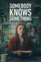 Nonton Somebody Knows Something Sub Indo