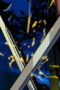 Nonton X-Men ’97 Season 2 Season 2 Episode 7 Sub Indo